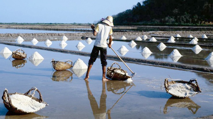 Kampot Economy